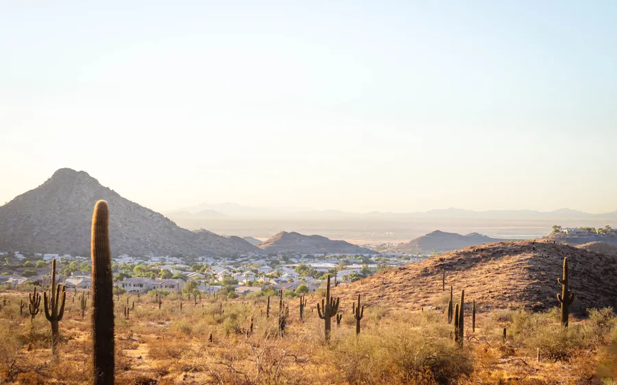 Saguaro cactus and desert hills overlooking a Phoenix-area valley at sunset